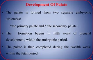 Development Of Palate
• The palate is formed from two separate embryonic
structures:
*the primary palate and * the secondary palate.
• The formation begins in fifth week of prenatal
development, within the embryonic period.
• The palate is then completed during the twelfth week,
within the fetal period.
41
 