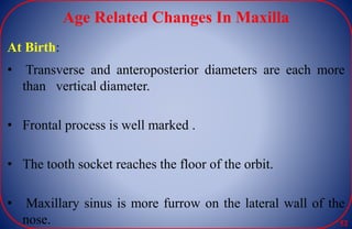 Age Related Changes In Maxilla
At Birth:
• Transverse and anteroposterior diameters are each more
than vertical diameter.
• Frontal process is well marked .
• The tooth socket reaches the floor of the orbit.
• Maxillary sinus is more furrow on the lateral wall of the
nose. 52
 