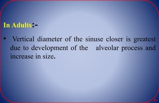 In Adults:-
• Vertical diameter of the sinuse closer is greatest
due to development of the alveolar process and
increase in size.
53
 