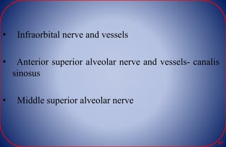 • Infraorbital nerve and vessels
• Anterior superior alveolar nerve and vessels- canalis
sinosus
• Middle superior alveolar nerve
57
 