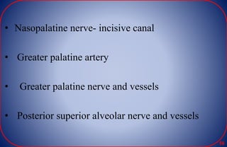 • Nasopalatine nerve- incisive canal
• Greater palatine artery
• Greater palatine nerve and vessels
• Posterior superior alveolar nerve and vessels
58
 