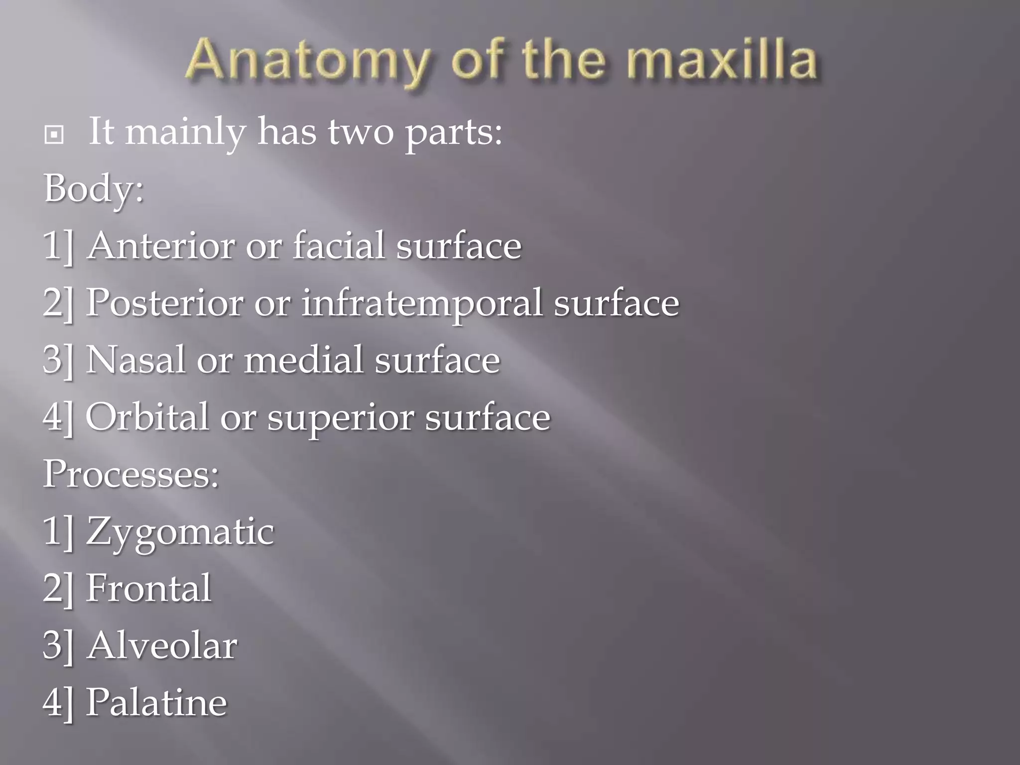 Maxilla and Mandible | PPTX | Ear, Nose and Throat Conditions ...