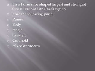  It is a horse shoe shaped largest and strongest
bone of the head and neck region
 It has the following parts:
1) Ramus
2) Body
3) Angle
4) Condyle
5) Coronoid
6) Alveolar process
 