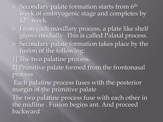  Secondary palate formation starts from 6th
week of embryogenic stage and completes by
12th week.
 From each maxillary process, a plate like shelf
grows medially. This is called Palatal process.
 Secondary palate formation takes place by the
fusion of the following:
1] The two palatine process.
2] Primitive palate formed from the frontonasal
process
Each palatine process fuses with the posterior
margin of the primitive palate
The two palatine process fuse with each other in
the midline . Fusion begins ant. And proceed
backward
 