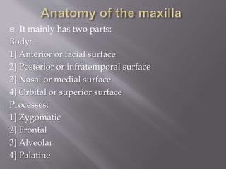  It mainly has two parts:
Body:
1] Anterior or facial surface
2] Posterior or infratemporal surface
3] Nasal or medial surface
4] Orbital or superior surface
Processes:
1] Zygomatic
2] Frontal
3] Alveolar
4] Palatine
 