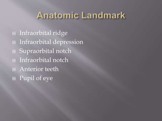  Infraorbital ridge
 Infraorbital depression
 Supraorbital notch
 Infraorbital notch
 Anterior teeth
 Pupil of eye
 
