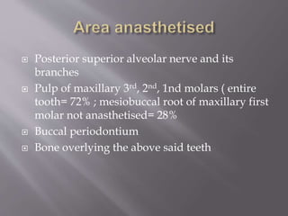  Posterior superior alveolar nerve and its
branches
 Pulp of maxillary 3rd, 2nd, 1nd molars ( entire
tooth= 72% ; mesiobuccal root of maxillary first
molar not anasthetised= 28%
 Buccal periodontium
 Bone overlying the above said teeth
 