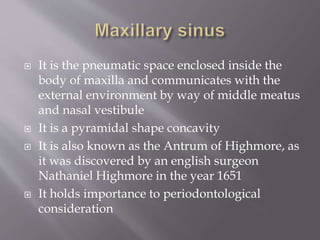  It is the pneumatic space enclosed inside the
body of maxilla and communicates with the
external environment by way of middle meatus
and nasal vestibule
 It is a pyramidal shape concavity
 It is also known as the Antrum of Highmore, as
it was discovered by an english surgeon
Nathaniel Highmore in the year 1651
 It holds importance to periodontological
consideration
 