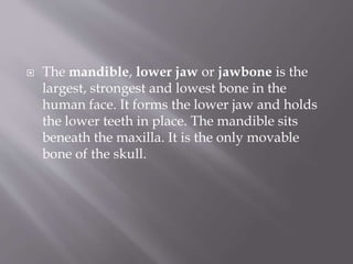  The mandible, lower jaw or jawbone is the
largest, strongest and lowest bone in the
human face. It forms the lower jaw and holds
the lower teeth in place. The mandible sits
beneath the maxilla. It is the only movable
bone of the skull.
 