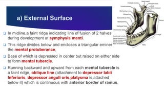 Midline Ridge Muscle Maxilla, Mandible & Hyoid Bone & Clinical Correlations by Dr. RIG.pptx