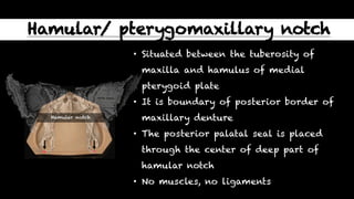 ANATOMICAL LANDMARKS OF EDENTULOUS MAXILLA | PDF