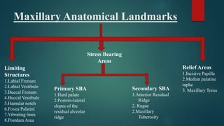 Maxillary Anatomical Landmarks
Limiting
Structures
1.Labial Frenum
2.Labial Vestibule
3.Buccal Frenum
4.Buccal Vestibule
5.Hamular notch
6.Fovea Palatini
7.Vibrating lines
8.Postdam Area
Stress Bearing
Areas
Relief Areas
1.Incisive Papilla
2.Median palatine
raphe
3. Maxillary TorusPrimary SBA
1.Hard palate
2.Postero-lateral
slopes of the
residual alveolar
ridge
Secondary SBA
1.Anterior Residual
Ridge
2. Rugae
2.Maxillary
Tuberosity
 