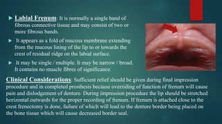  Labial Frenum: It is normally a single band of
fibrous connective tissue and may consist of two or
more fibrous bands.
 It appears as a fold of mucous membrane extending
from the mucous lining of the lip to or towards the
crest of residual ridge on the labial surface.
 It may be single / multiple. It may be narrow / broad.
It contains no muscle fibres of significance.
Clinical Considerations: Sufficient relief should be given during final impression
procedure and in completed prosthesis because overriding of function of frenum will cause
pain and dislodgement of denture. During impression procedure the lip should be stretched
horizontal outwards for the proper recording of frenum. If frenum is attached close to the
crest frenectomy is done, failure of which will lead to the denture border being placed on
the bone tissue which will cause decreased border seal.
 