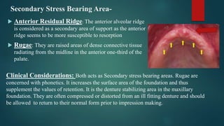 Secondary Stress Bearing Area-
 Anterior Residual Ridge: The anterior alveolar ridge
is considered as a secondary area of support as the anterior
ridge seems to be more susceptible to resorption
 Rugae: They are raised areas of dense connective tissue
radiating from the midline in the anterior one-third of the
palate.
Clinical Considerations: Both acts as Secondary stress bearing areas. Rugae are
concerned with phonetics. It increases the surface area of the foundation and thus
supplement the values of retention. It is the denture stabilizing area in the maxillary
foundation. They are often compressed or distorted from an ill fitting denture and should
be allowed to return to their normal form prior to impression making.
 