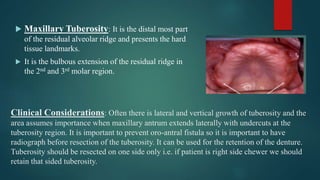 Clinical Considerations: Often there is lateral and vertical growth of tuberosity and the
area assumes importance when maxillary antrum extends laterally with undercuts at the
tuberosity region. It is important to prevent oro-antral fistula so it is important to have
radiograph before resection of the tuberosity. It can be used for the retention of the denture.
Tuberosity should be resected on one side only i.e. if patient is right side chewer we should
retain that sided tuberosity.
 Maxillary Tuberosity: It is the distal most part
of the residual alveolar ridge and presents the hard
tissue landmarks.
 It is the bulbous extension of the residual ridge in
the 2nd and 3rd molar region.
 
