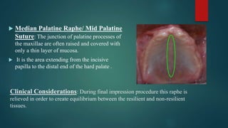 Clinical Considerations: During final impression procedure this raphe is
relieved in order to create equilibrium between the resilient and non-resilient
tissues.
 Median Palatine Raphe/ Mid Palatine
Suture: The junction of palatine processes of
the maxillae are often raised and covered with
only a thin layer of mucosa.
 It is the area extending from the incisive
papilla to the distal end of the hard palate .
 