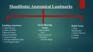 Mandibular Anatomical Landmarks
Limiting structures
1.Labial Frenum
2.Labial Vestibule
3.Buccal Frenum
4.Buccal Vestibule
5.Lingual Frenum
6. Pterygomandibular raphe
7. Alveolingual sulcus
Stress Bearing
Areas
1.Buccal Shelf
Area
2.Retromolar pad
3. Residual
Alveolar Ridge
Relief Areas
1.Torus
Mandibularis
2.Genial Tubercle
3. Mental
Foramen
 