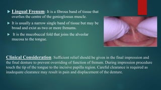 Clinical Consideration: Sufficient relief should be given in the final impression and
the final denture to prevent overriding of function of frenum. During impression procedure
touch the tip of the tongue to the incisive papilla region. Careful clearance is required as
inadequate clearance may result in pain and displacement of the denture.
 Lingual Frenum: It is a fibrous band of tissue that
overlies the centre of the genioglossus muscle.
 It is usually a narrow single band of tissue but may be
broad and exist as two or more frenums.
 It is the mucobuccal fold that joins the alveolar
mucosa to the tongue.
 