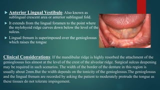 Clinical Considerations: If the mandibular ridge is highly resorbed the attachment of the
genioglossus lies almost at the level of the crest of the alveolar ridge. Surgical sulcus deepening
may be required in such scenarios. The width of the border of the denture in this region is
usually about 2mm.But the width depends on the tonicity of the genioglossus.The genioglossus
and the lingual frenum are recorded by asking the patient to moderately protrude the tongue as
these tissues do not tolerate impingement.
 Anterior Lingual Vestibule: Also known as
sublingual crescent area or anterior sublingual fold.
 It extends from the lingual foramen to the point where
the mylohyoid ridge curves down below the level of the
sulcus.
 Lingual frenum is superimposed over the genioglossus
which raises the tongue
 
