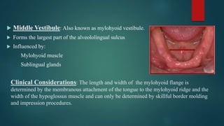 Clinical Considerations: The length and width of the mylohyoid flange is
determined by the membranous attachment of the tongue to the mylohyoid ridge and the
width of the hypoglossus muscle and can only be determined by skillful border molding
and impression procedures.
 Middle Vestibule: Also known as mylohyoid vestibule.
 Forms the largest part of the alveololingual sulcus
 Influenced by:
Mylohyoid muscle
Sublingual glands
 