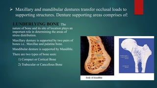  Maxillary and mandibular dentures transfer occlusal loads to
supporting structures. Denture supporting areas comprises of:
1.UNDERLYING BONE: The
nature of bone and its site of location plays an
important role in determining the areas of
stress distribution.
Maxillary denture is supported by two pairs of
bones i.e.. Maxillae and palatine bone.
Mandibular denture is supported by Mandible.
There are two types of bone seen:
1) Compact or Cortical Bone
2) Trabecular or Cancellous Bone
 