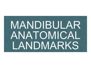 MANDIBULAR
ANATOMICAL
LANDMARKS
 