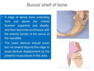 Buccal shelf of bone
 