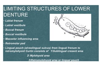 LIMITING STRUCTURES OF LOWER
DENTURE
• Labial frenum
• Labial vestibule
• Buccal frenum
• Buccal vestibule
• Masseter influencing area
• Retromolar pad
• Lingual pouch (alveolingual sulcus) from lingual frenum to
retromylohyoid Curtin consists of 1Sublingual cresent area
2 Mylohyoid area
3Retromylohyoid area or lingual pouch
 
