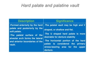 Hard palate and palatine vault
 