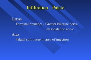 Infiltration - PalateInfiltration - Palate
NervesNerves
Terminal branches - Greater Palatine nerveTerminal branches - Greater Palatine nerve
Nasopalatine nerveNasopalatine nerve
AreaArea
Palatal soft tissue in area of injectionPalatal soft tissue in area of injection
 