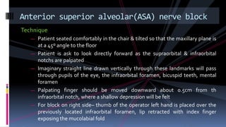 Technique
— Patient seated comfortably in the chair & tilted so that the maxillary plane is
at a 45º angle to the floor
— Patient is ask to look directly forward as the supraorbital & infraorbital
notchs are palpated
— Imaginary straight line drawn vertically through these landmarks will pass
through pupils of the eye, the infraorbital foramen, bicuspid teeth, mental
foramen
— Palpating finger should be moved downward about 0.5cm from th
infraorbital notch, where a shallow depression will be felt
— For block on right side– thumb of the operator left hand is placed over the
previously located infraorbital foramen, lip retracted with index finger
exposing the mucolabial fold
Anterior superior alveolar(ASA) nerve block
 