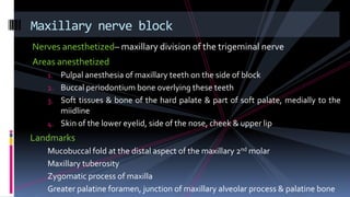 Nerves anesthetized– maxillary division of the trigeminal nerve
Areas anesthetized
1. Pulpal anesthesia of maxillary teeth on the side of block
2. Buccal periodontium bone overlying these teeth
3. Soft tissues & bone of the hard palate & part of soft palate, medially to the
miidline
4. Skin of the lower eyelid, side of the nose, cheek & upper lip
Landmarks
Mucobuccal fold at the distal aspect of the maxillary 2nd molar
Maxillary tuberosity
Zygomatic process of maxilla
Greater palatine foramen, junction of maxillary alveolar process & palatine bone
Maxillary nerve block
 