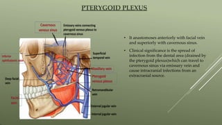 PTERYGOID PLEXUS
• It anastomoses anteriorly with facial vein
and superiorly with cavernous sinus.
• Clinical significance is the spread of
infection from the dental area (drained by
the pterygoid plexus)which can travel to
cavernous sinus via emissary vein and
cause intracranial infections from an
extracranial source.
 