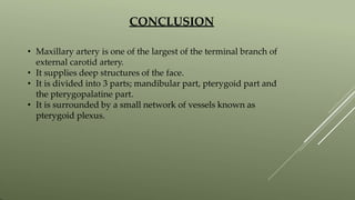 CONCLUSION
• Maxillary artery is one of the largest of the terminal branch of
external carotid artery.
• It supplies deep structures of the face.
• It is divided into 3 parts; mandibular part, pterygoid part and
the pterygopalatine part.
• It is surrounded by a small network of vessels known as
pterygoid plexus.
 