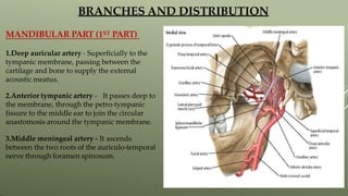 MANDIBULAR PART (1ST PART)
1.Deep auricular artery - Superficially to the
tympanic membrane, passing between the
cartilage and bone to supply the external
acoustic meatus.
2.Anterior tympanic artery - It passes deep to
the membrane, through the petro-tympanic
fissure to the middle ear to join the circular
anastomosis around the tympanic membrane.
3.Middle meningeal artery - It ascends
between the two roots of the auriculo-temporal
nerve through foramen spinosum.
BRANCHES AND DISTRIBUTION
 