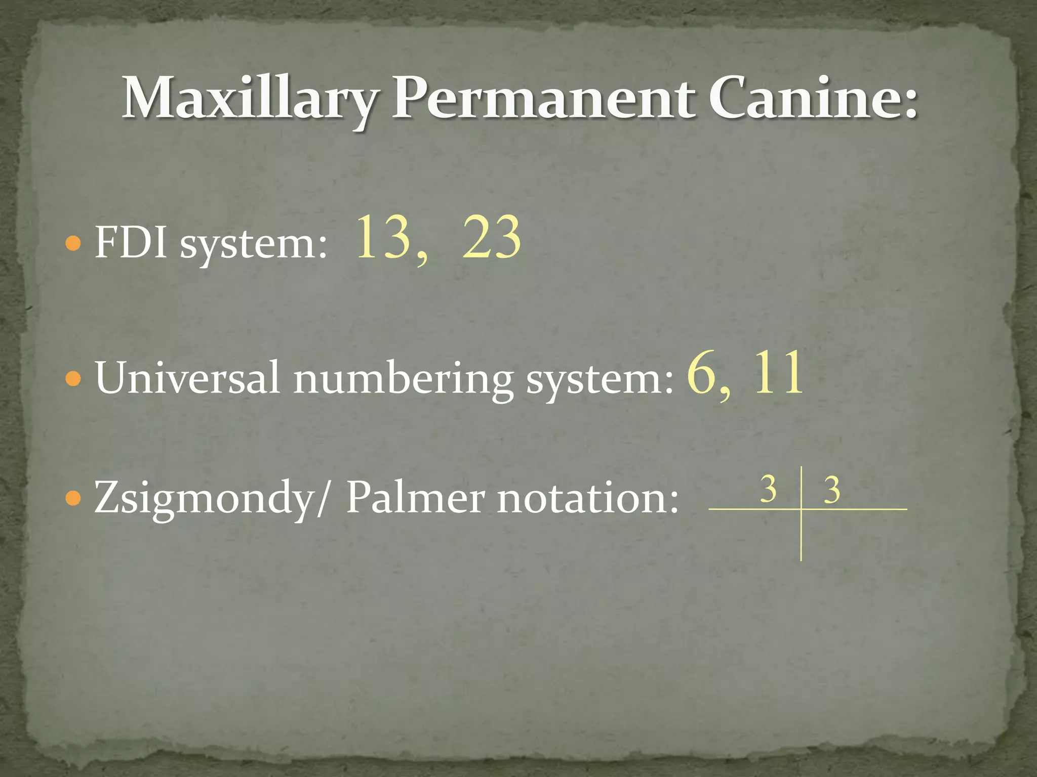  FDI system: 13, 23
 Universal numbering system: 6, 11
 Zsigmondy/ Palmer notation: 3 3
 