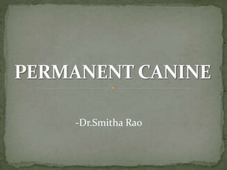 -Dr.Smitha Rao
 