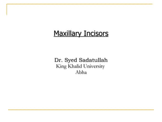 Maxillary Incisors Dr. Syed Sadatullah King Khalid University  Abha 