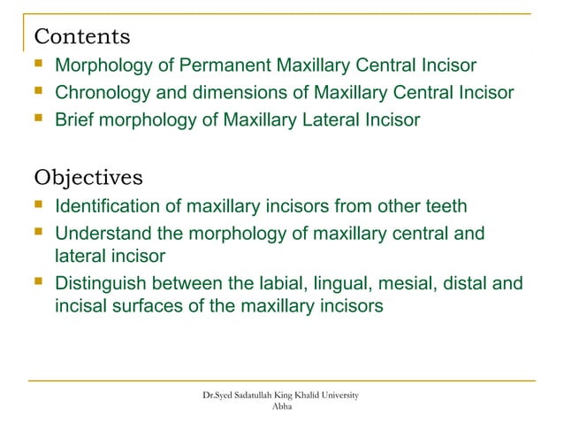 morphology of Maxillary central and lateral incisors teeth | PPT ...