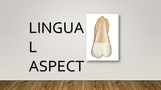 LINGUA
L
ASPECT
 