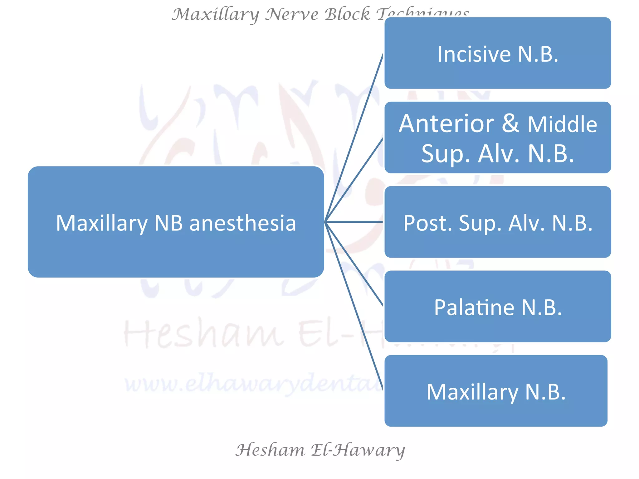 Hesham El-Hawary
Maxillary Nerve Block Techniques
Maxillary	
  NB	
  anesthesia	
  
Incisive	
  N.B.	
  
Anterior	
  &	
  Middle	
  
Sup.	
  Alv.	
  N.B.	
  
Post.	
  Sup.	
  Alv.	
  N.B.	
  
PalaNne	
  N.B.	
  
Maxillary	
  N.B.	
  
 