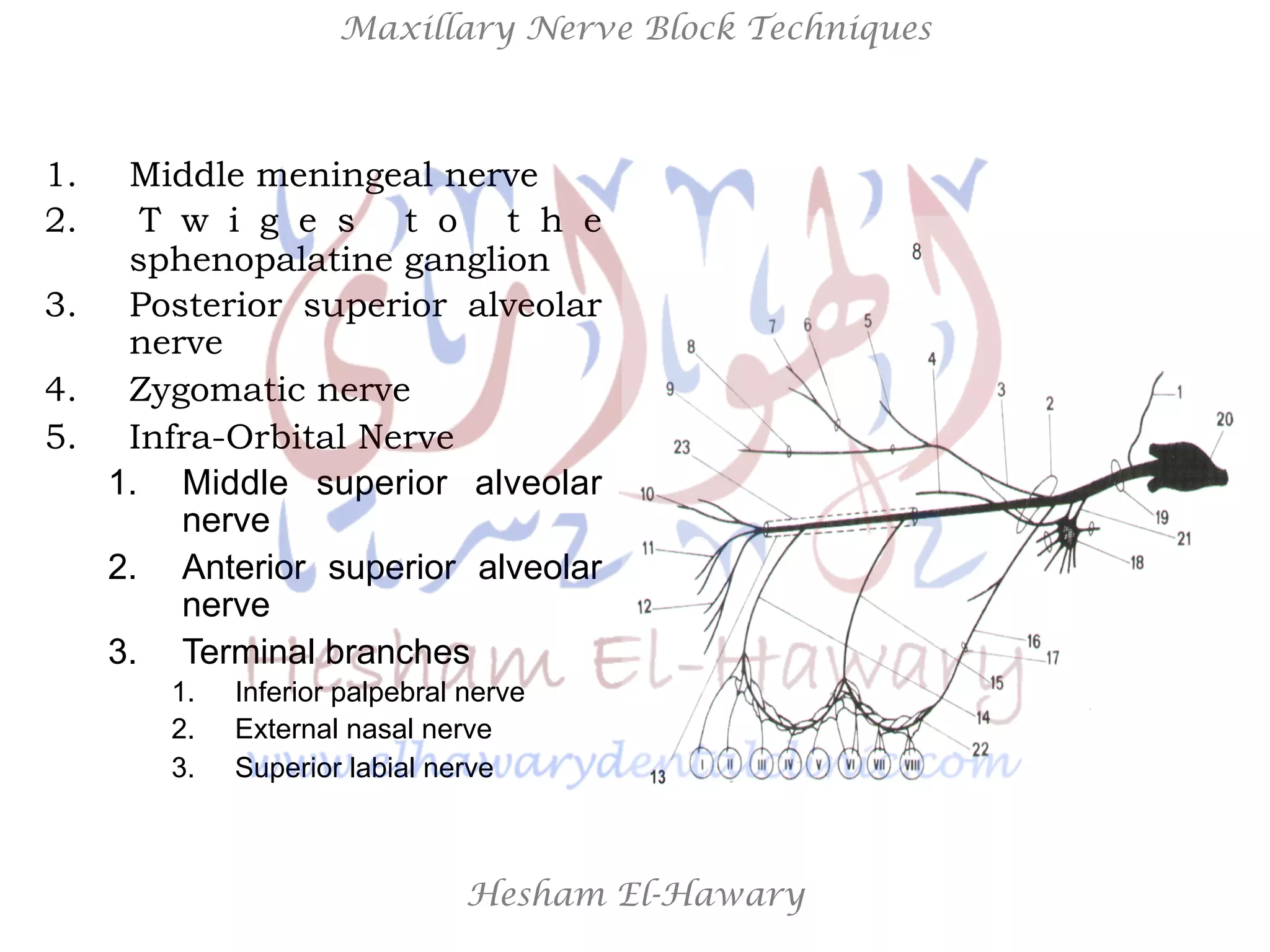 Hesham El-Hawary
Maxillary Nerve Block Techniques
1.  Middle meningeal nerve
2.  T w i g e s t o t h e
sphenopalatine ganglion
3.  Posterior superior alveolar
nerve
4.  Zygomatic nerve
5.  Infra-Orbital Nerve
1.  Middle superior alveolar
nerve
2.  Anterior superior alveolar
nerve
3.  Terminal branches
1.  Inferior palpebral nerve
2.  External nasal nerve
3.  Superior labial nerve
 