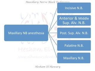 Hesham El-Hawary
Maxillary Nerve Block Techniques
Maxillary	
  NB	
  anesthesia	
  
Incisive	
  N.B.	
  
Anterior	
  &	
  Middle	
  
Sup.	
  Alv.	
  N.B.	
  
Post.	
  Sup.	
  Alv.	
  N.B.	
  
PalaNne	
  N.B.	
  
Maxillary	
  N.B.	
  
 