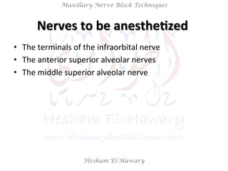 Hesham El-Hawary
Maxillary Nerve Block Techniques
Nerves	
  to	
  be	
  anesthe/zed	
  	
  
•  The	
  terminals	
  of	
  the	
  infraorbital	
  nerve	
  
•  The	
  anterior	
  superior	
  alveolar	
  nerves	
  
•  The	
  middle	
  superior	
  alveolar	
  nerve	
  
 