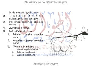 Hesham El-Hawary
Maxillary Nerve Block Techniques
1.  Middle meningeal nerve
2.  T w i g e s t o t h e
sphenopalatine ganglion
3.  Posterior superior alveolar
nerve
4.  Zygomatic nerve
5.  Infra-Orbital Nerve
1.  Middle superior alveolar
nerve
2.  Anterior superior alveolar
nerve
3.  Terminal branches
1.  Inferior palpebral nerve
2.  External nasal nerve
3.  Superior labial nerve
 