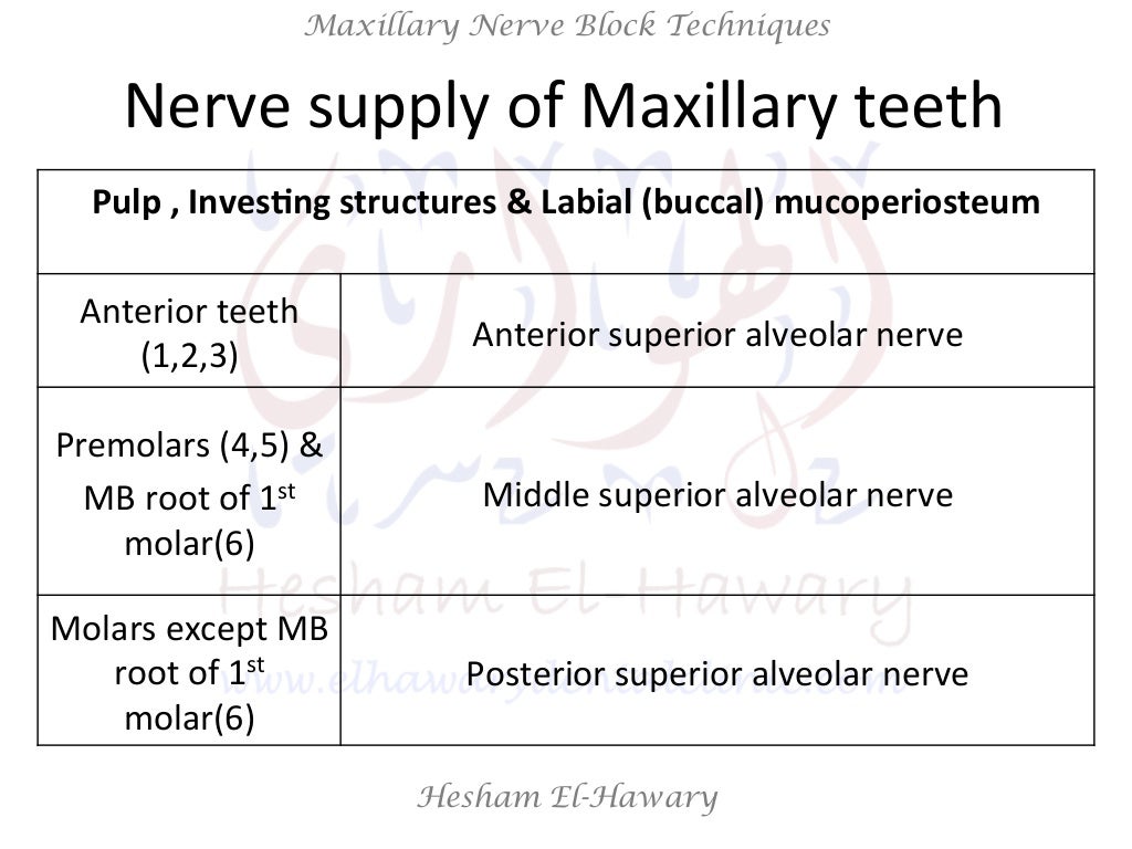Maxillary nerve block anesthetic technique (with photos)