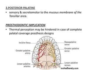 3.POSTERIOR PALATINE
• sensory & secretomotor to the mucous membrane of the
Tonsillar area.
PROSTHODONTIC IMPLICATION
• Thermal perception may be hindered in case of complete
palatal coverage prosthesis designs
 