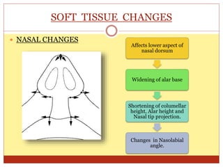 SOFT TISSUE CHANGES
 NASAL CHANGES
Affects lower aspect of
nasal dorsum
Widening of alar base
Shortening of columellar
height, Alar height and
Nasal tip projection.
Changes in Nasolabial
angle.
 