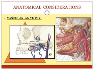 ANATOMICAL CONSIDERATIONS
 VASCULAR ANATOMY:
All the vessels are branches of
the ECA.
Anastomosed ascending
palatine and ascending
pharyngeal artery joins the
lesser palatine artery.
Sphenopalatine, posterior
superior alveolar and
infraorbital arteries are the
others
 