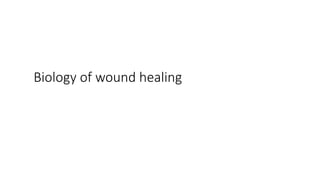 Biology of wound healing
 